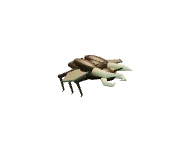Ramhorn Beetle: Air / charging attacker. Snapshot of the game's 3D model.