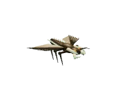 Razorwing Locust: Air / fast attacker. Snapshot of the game's 3D model.