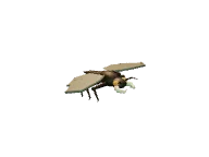 Needlewing Wasp: Air / ranged attacker. Snapshot of the game's 3D model.