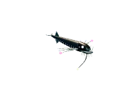 Viperfang: Air / crossing volleys. Snapshot of the game's 3D model.